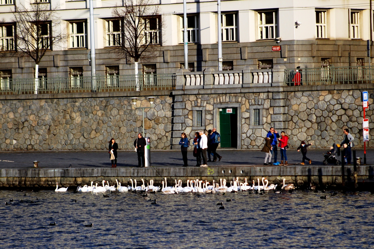 Забота о птицах.