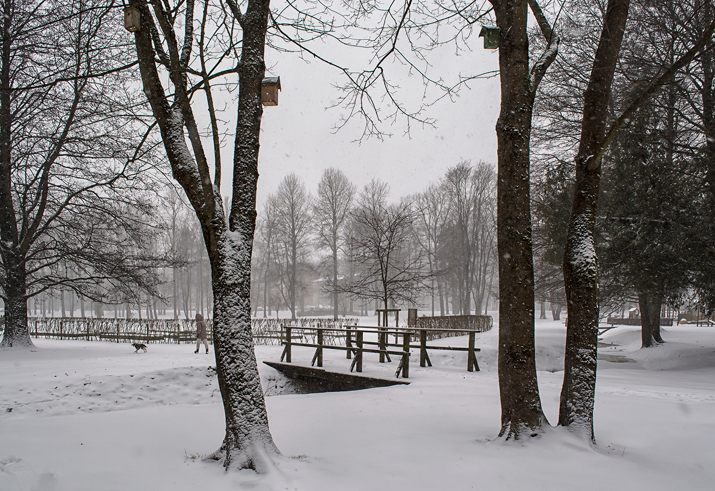 По свежему снегу