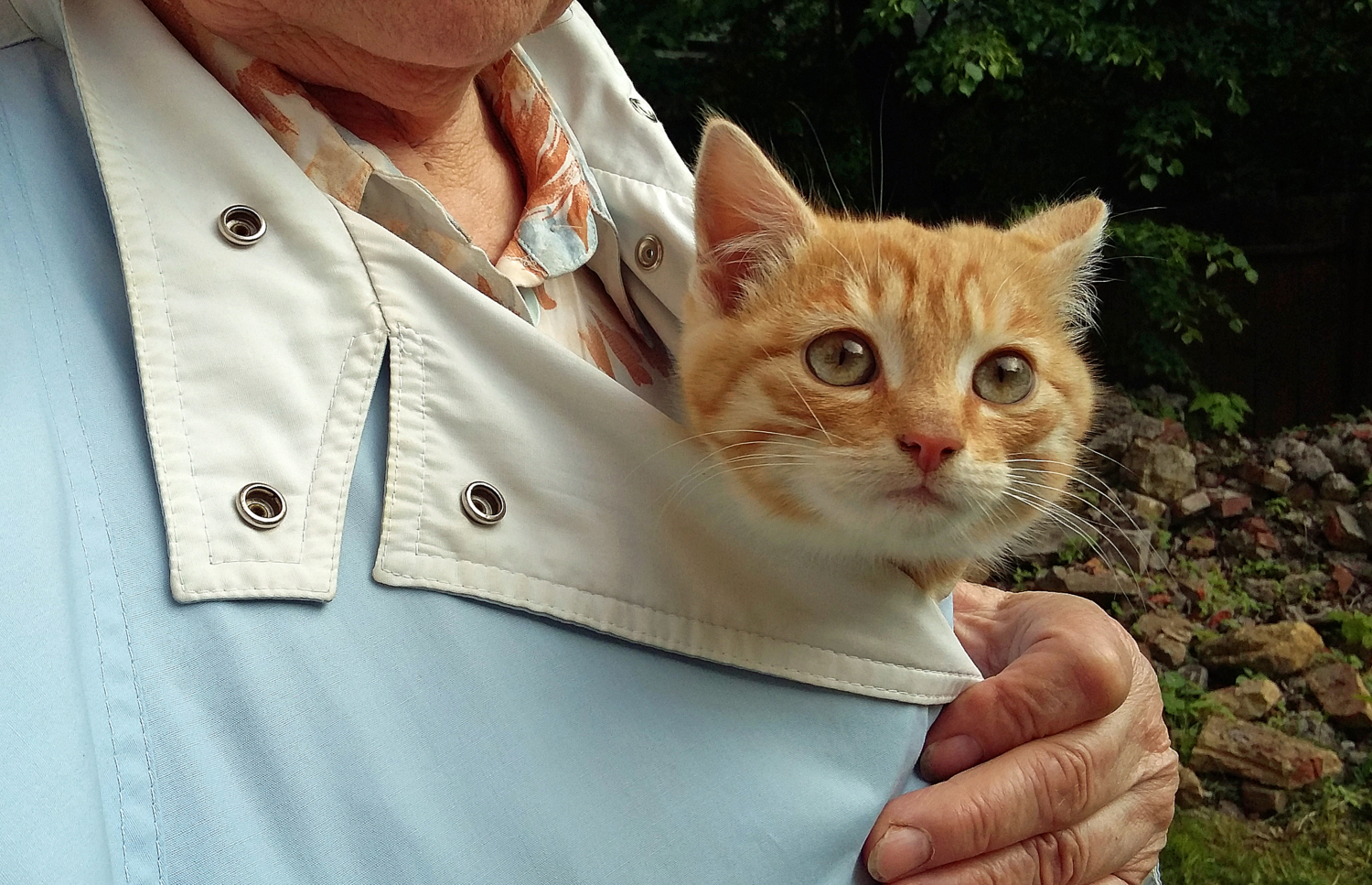 Меняем холодную улицу на тёплый дом