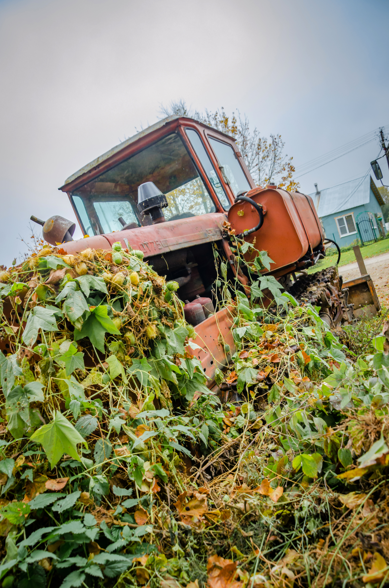 Летальное единство