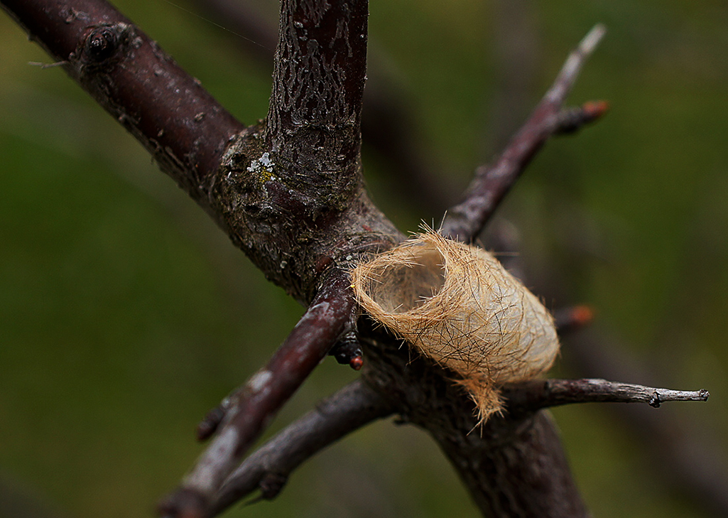 Кто прорвал!?