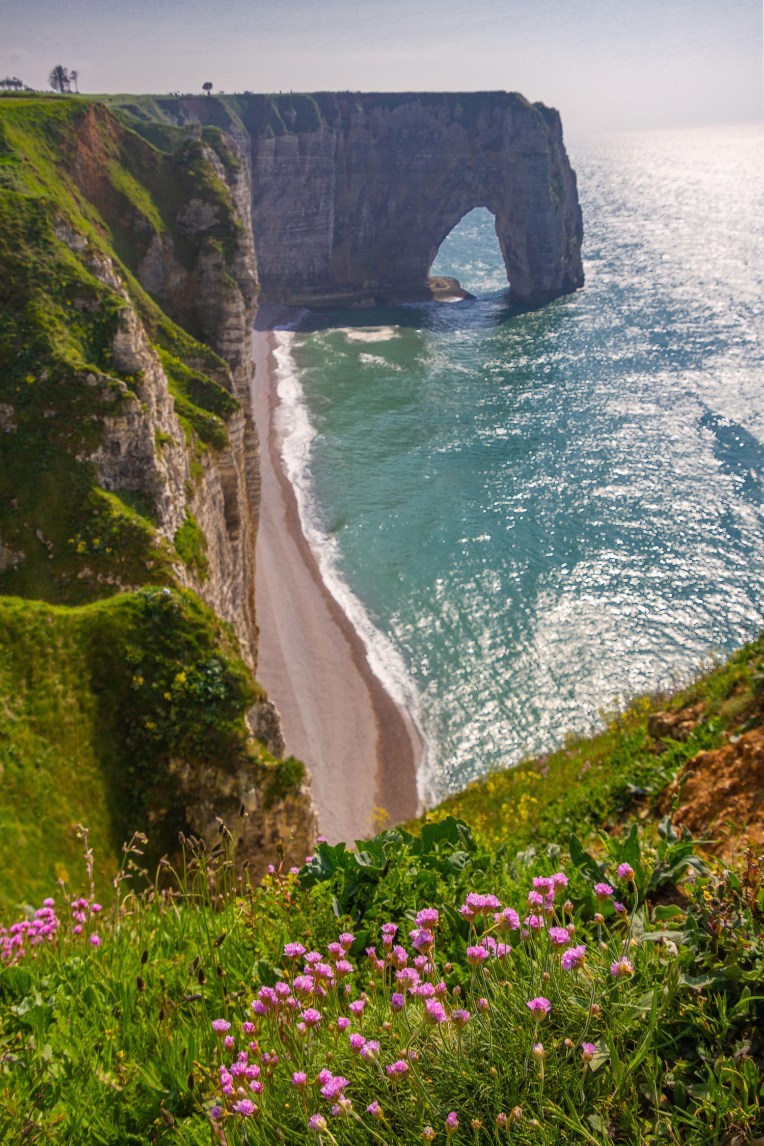 Скала на водопое