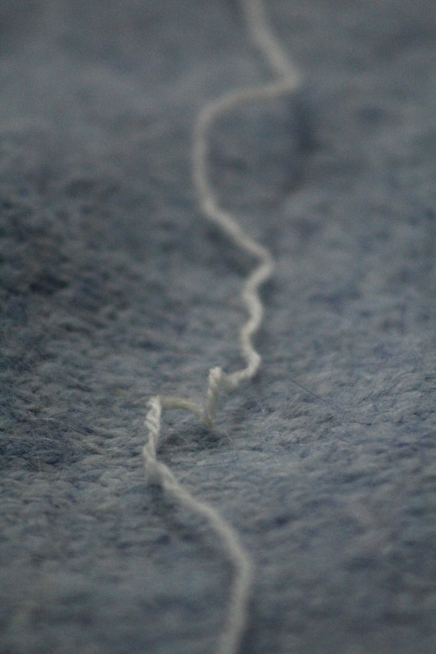 Здесь и сейчас