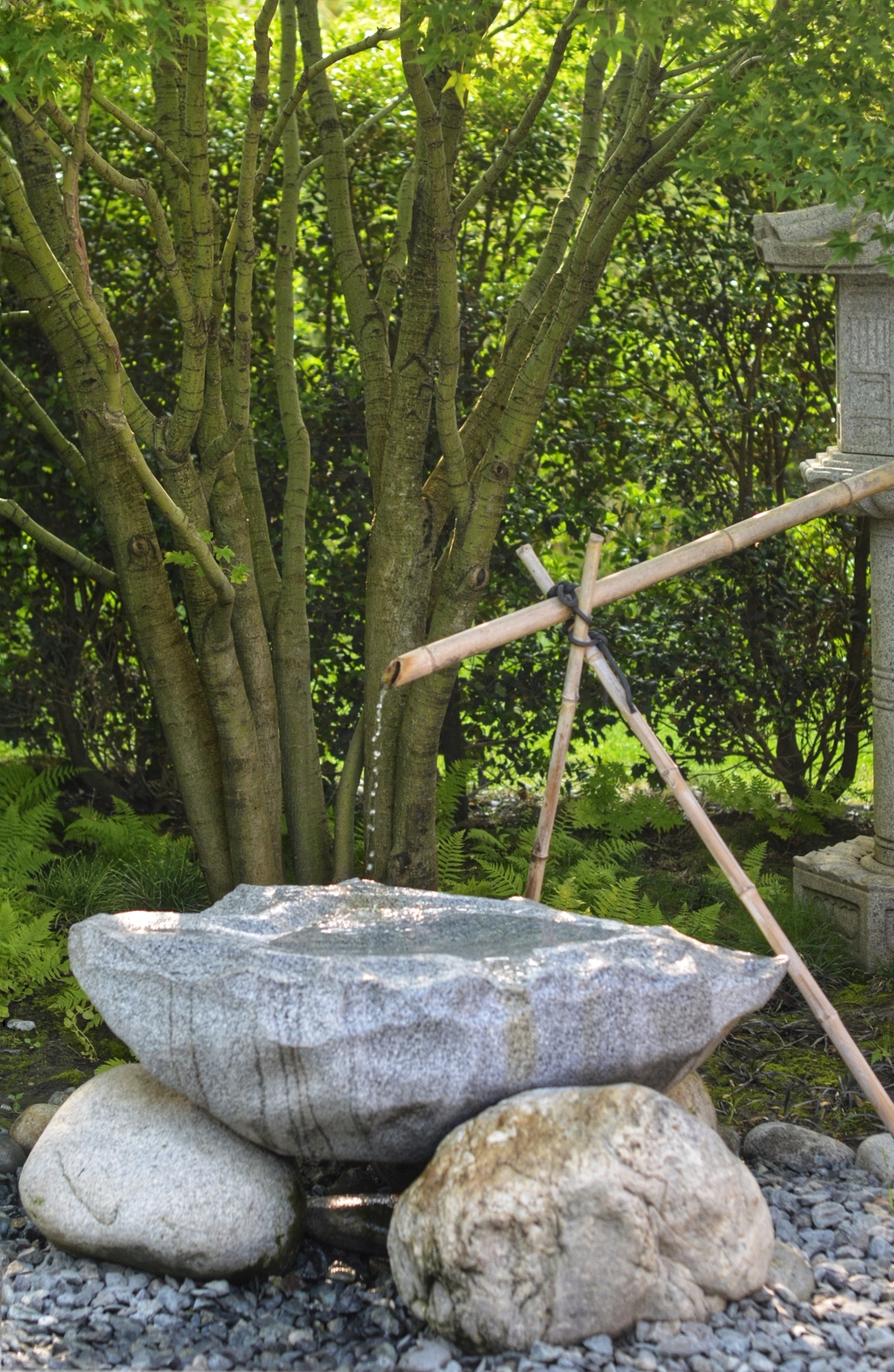 Вода и камень