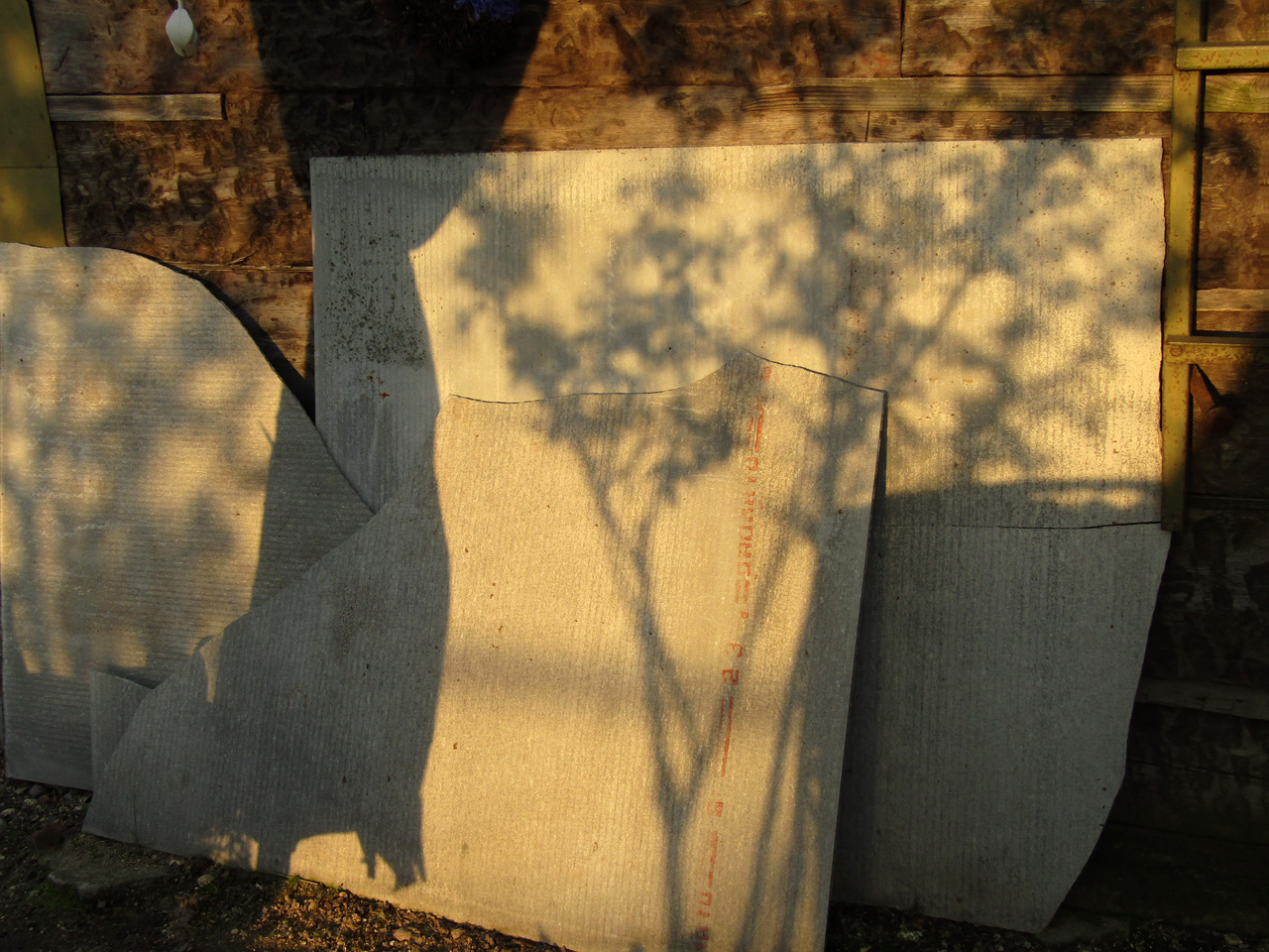 Без света нет тени