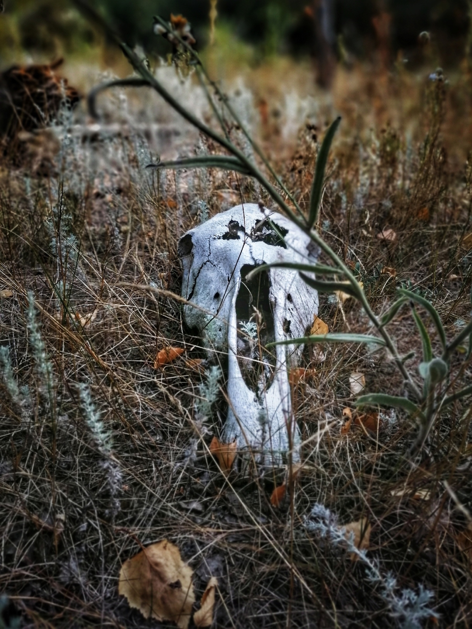 Жизнь и смерть всегда рядом