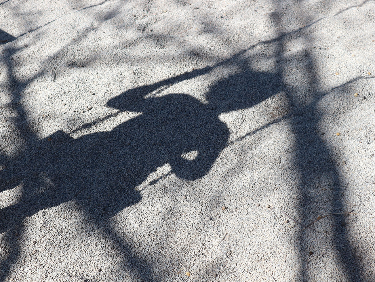 Серые будни качелей.