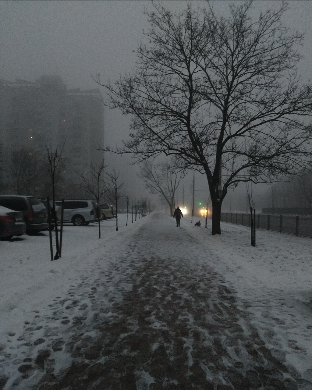 Хмурое утро