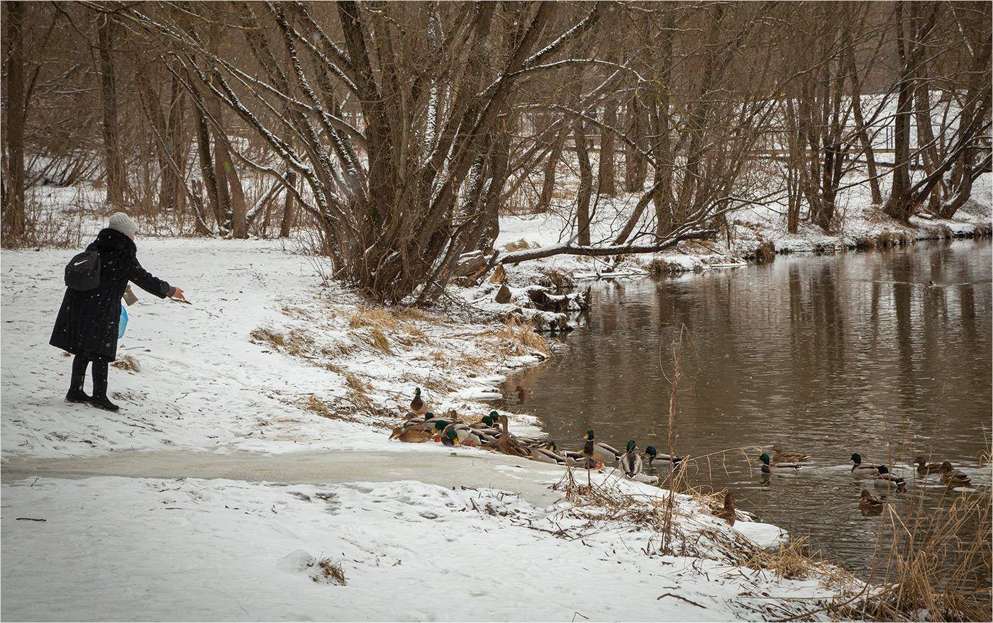 уточек покормить...