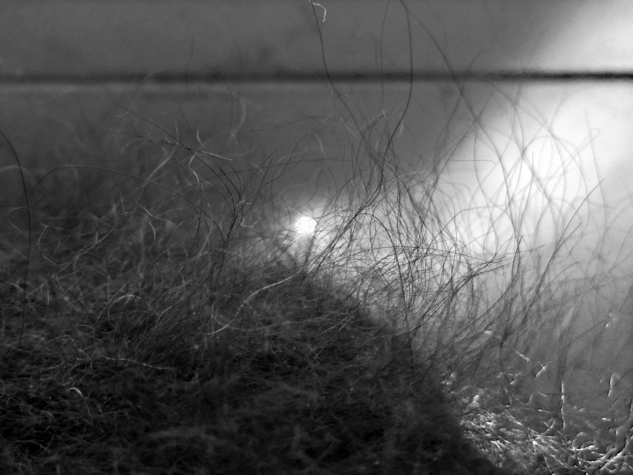 Лунный вечер на озере