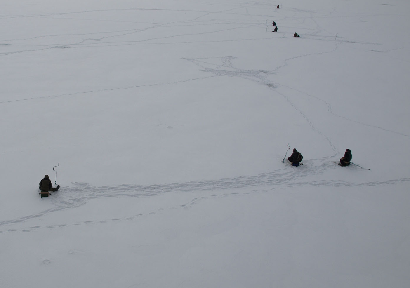 Холодный плен.