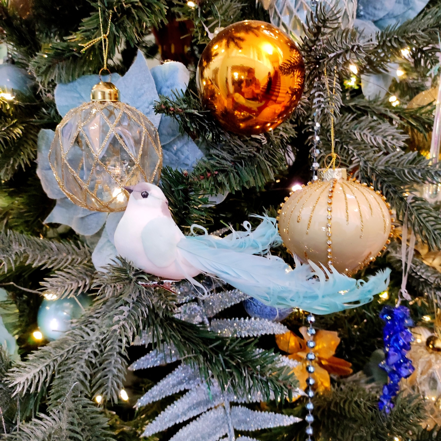 Птица счастья