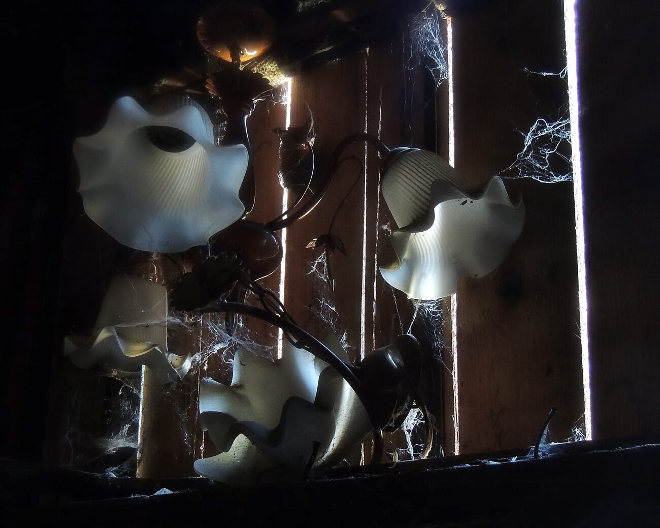 Свет и тень