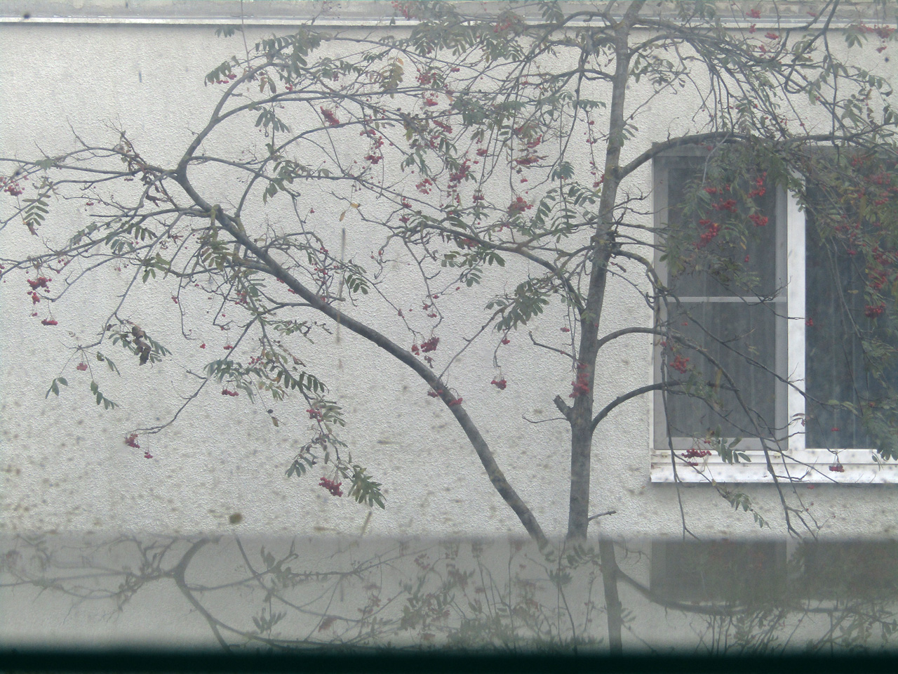 Объект и отражение противоположны и неразделимы