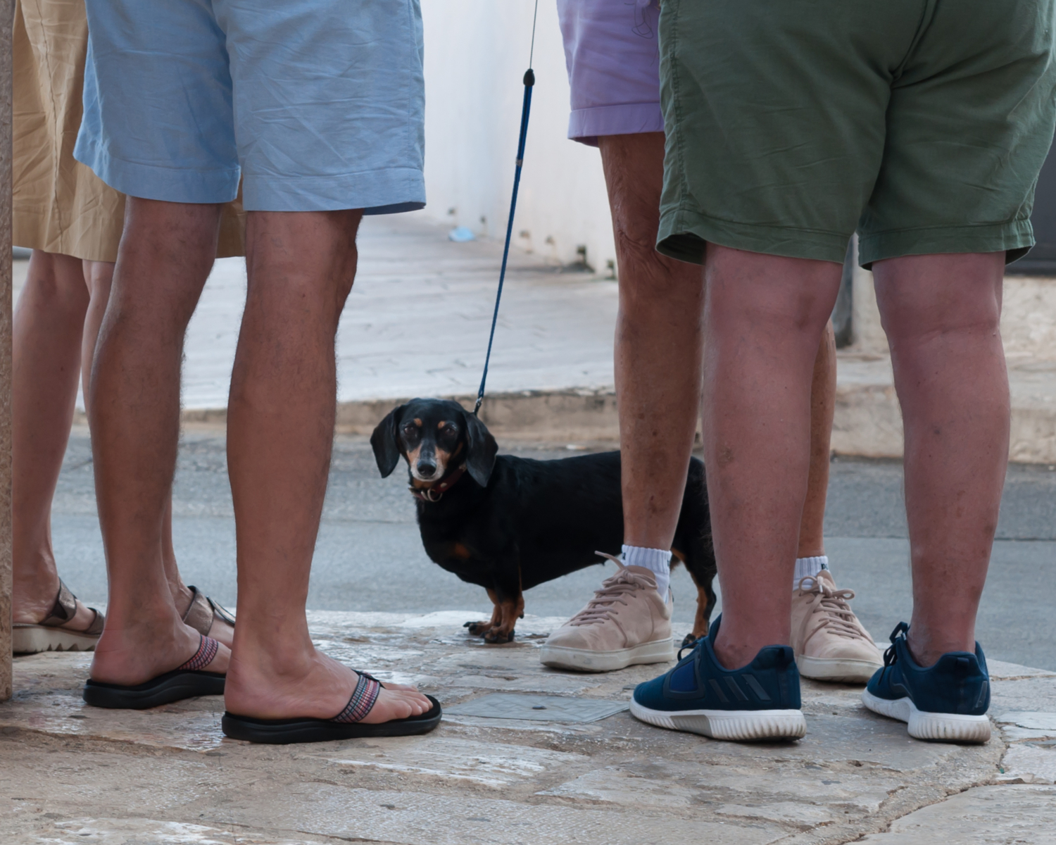 Поф😄игизм