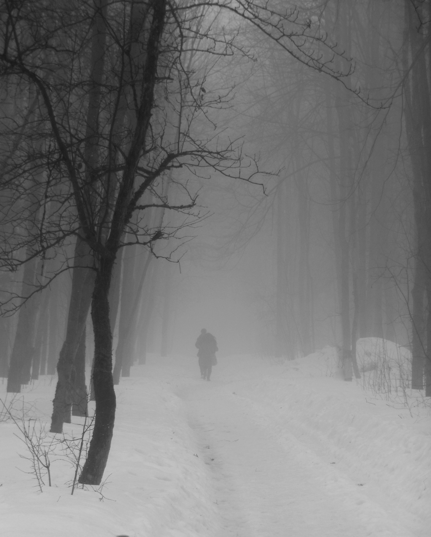 Двое в тумане