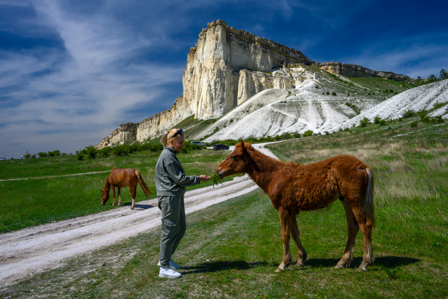 о братьях наших меньших