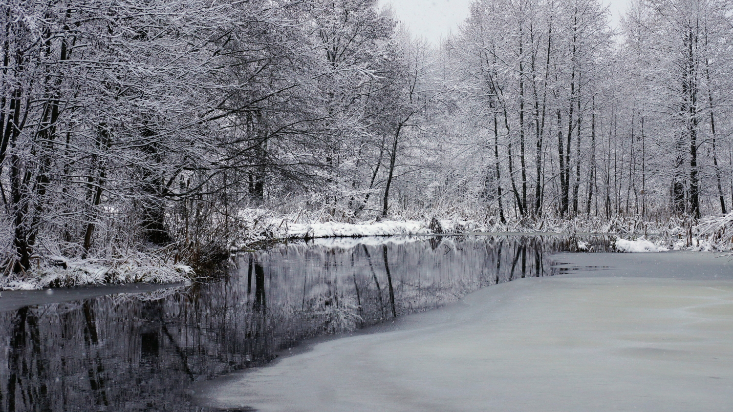 Скоро зима.