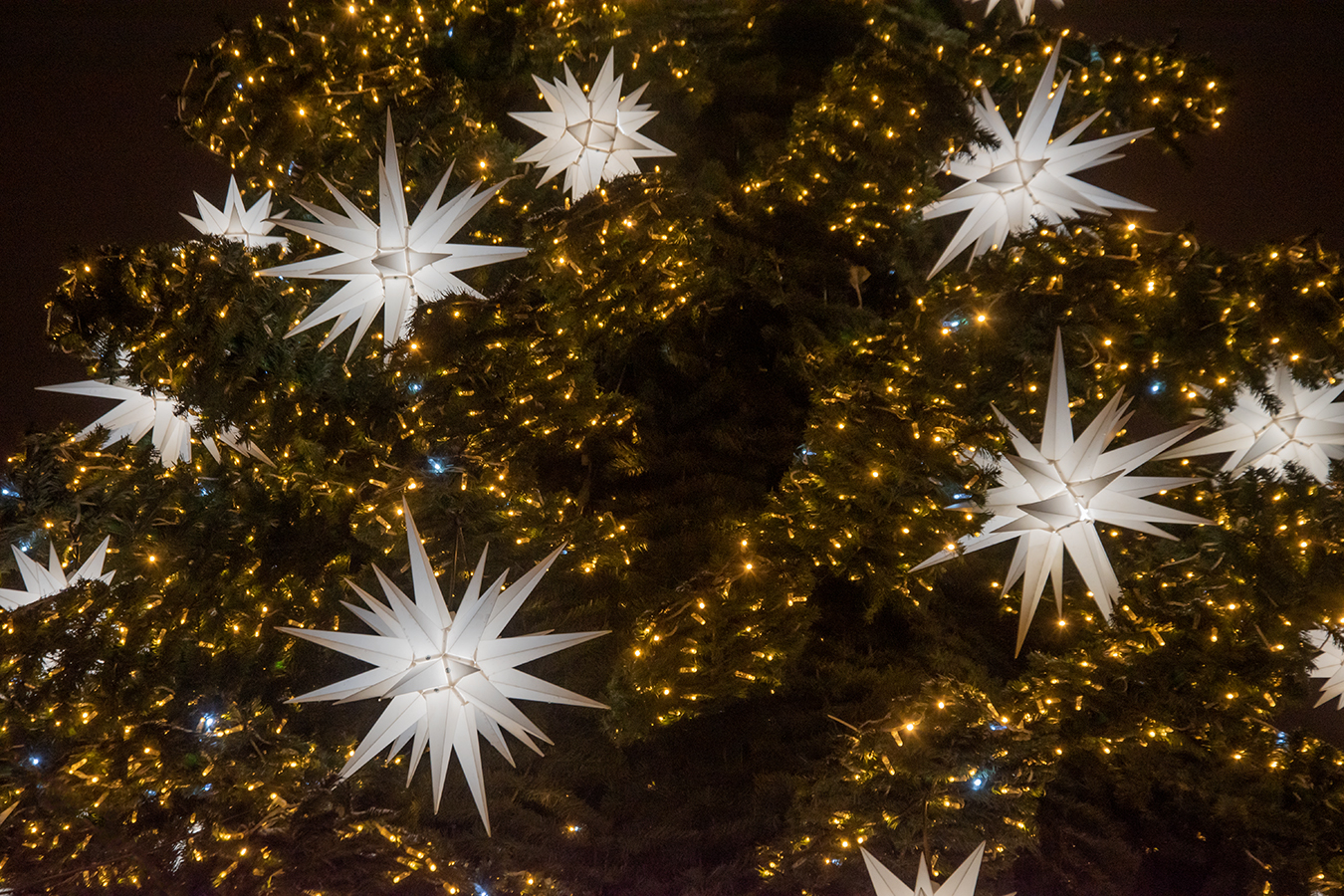 Пусть каждый загадает желание!