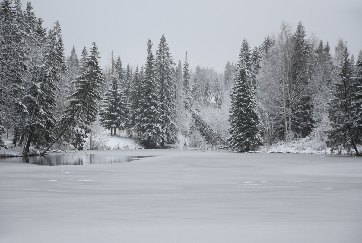 От мороза чуть пьяные