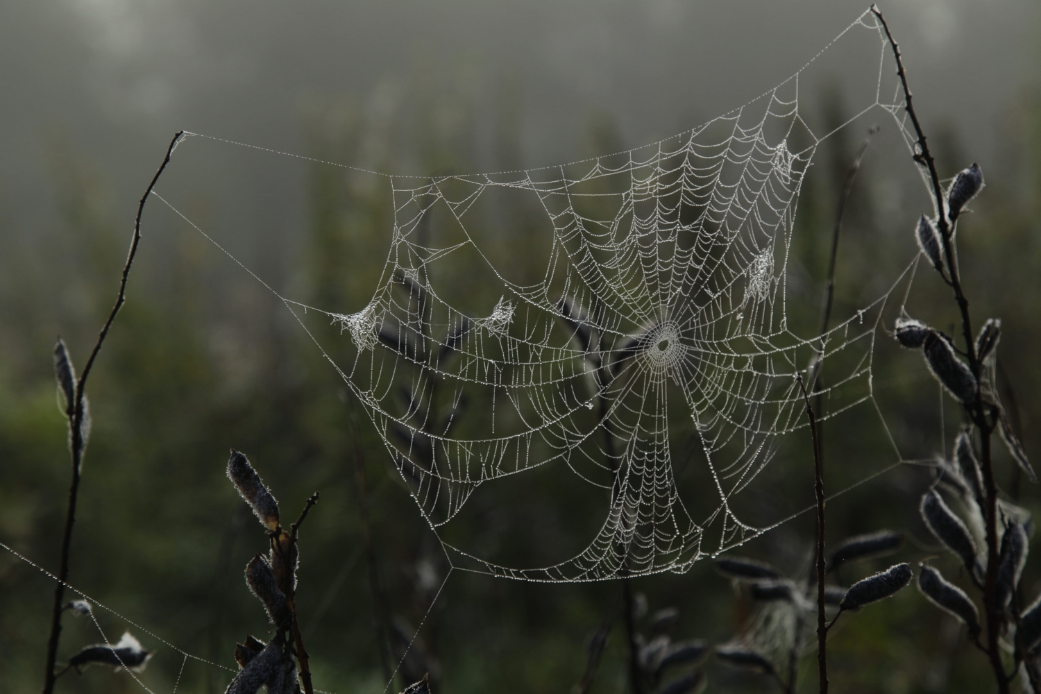 Требуется срочная починка!