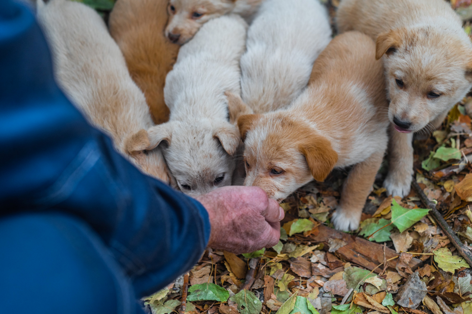 когда мамаши нету дома...