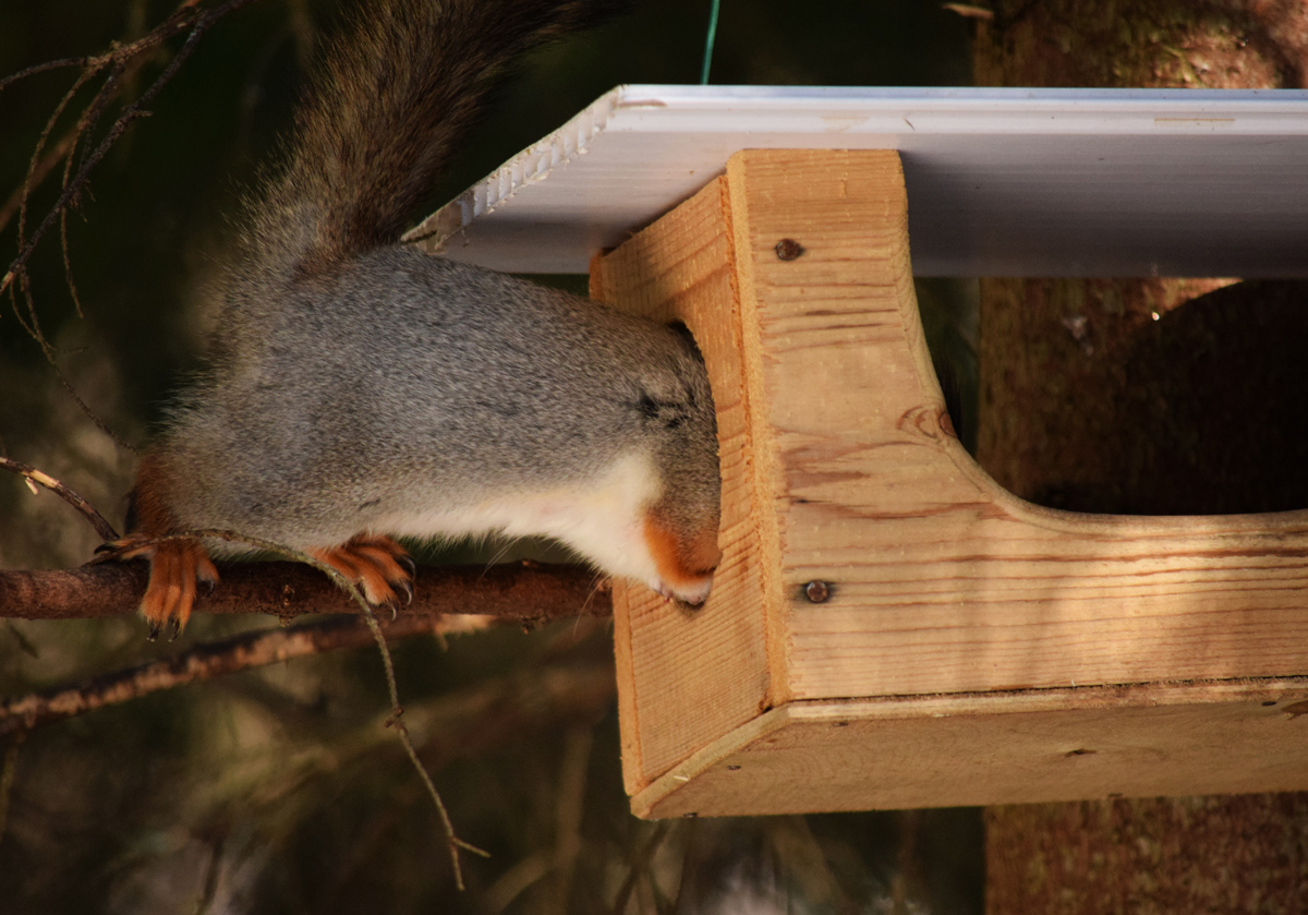 Удобная дырка