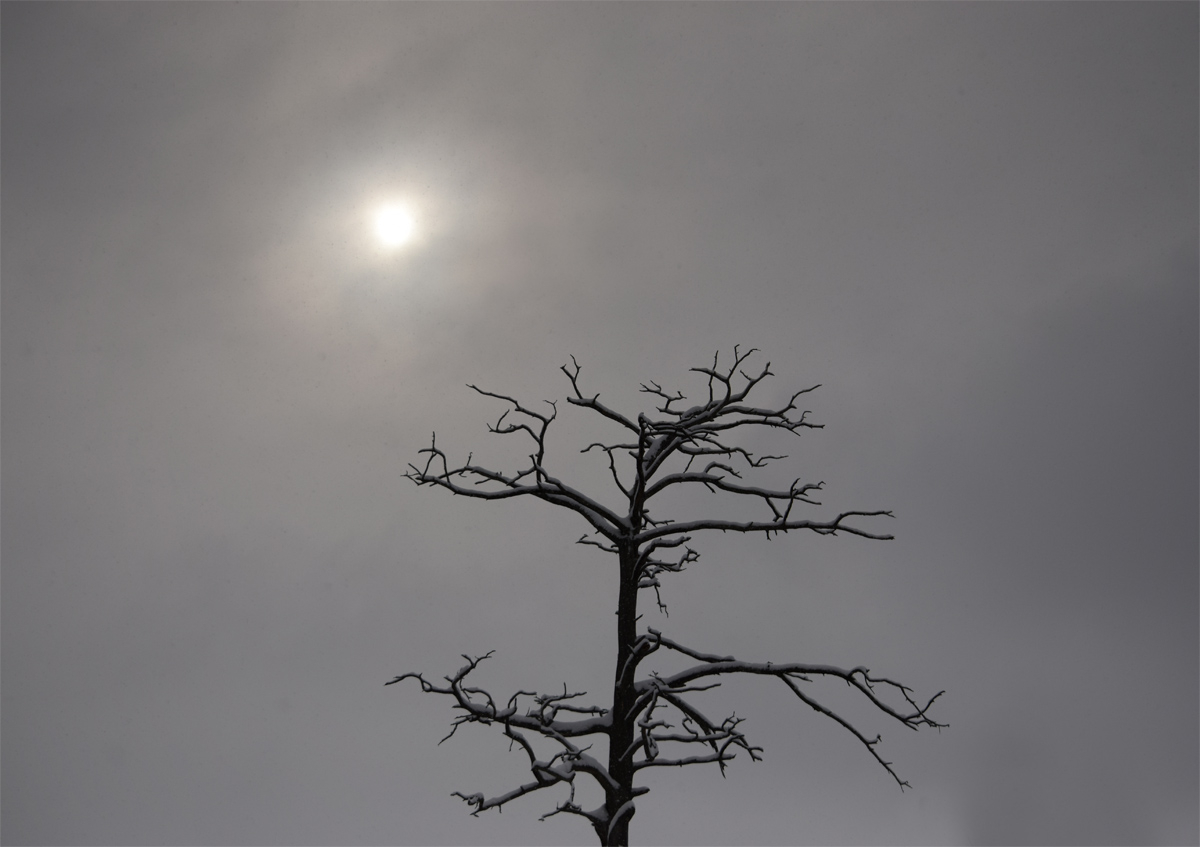 В японском стиле