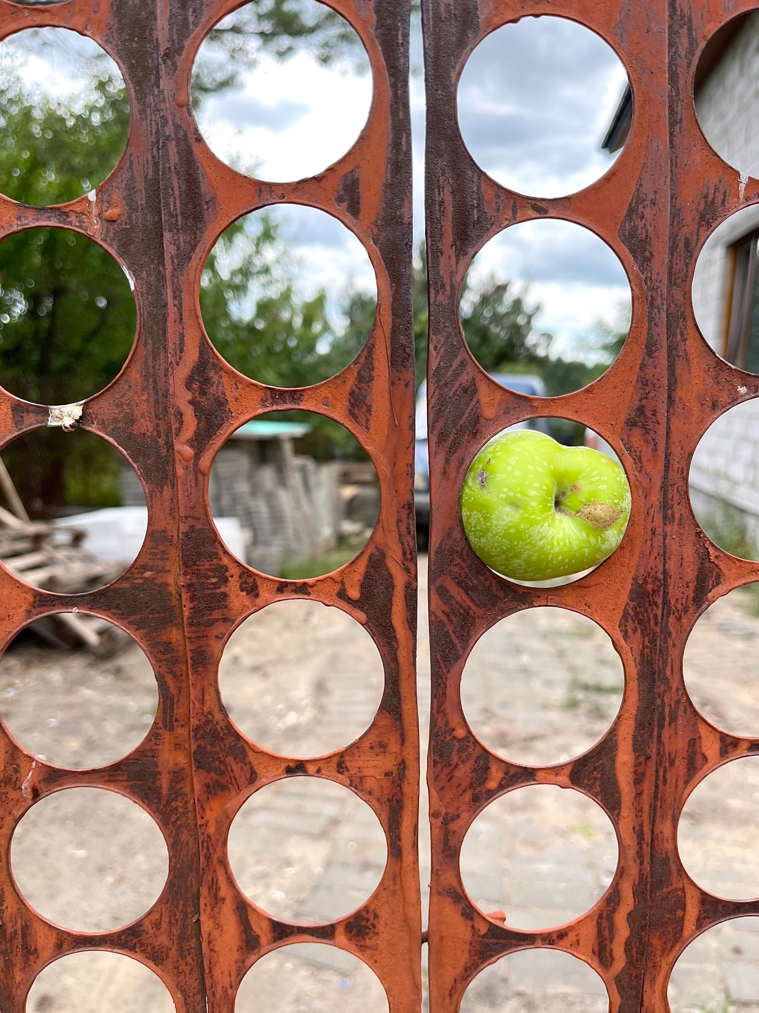 Много дырок и одно яблоко