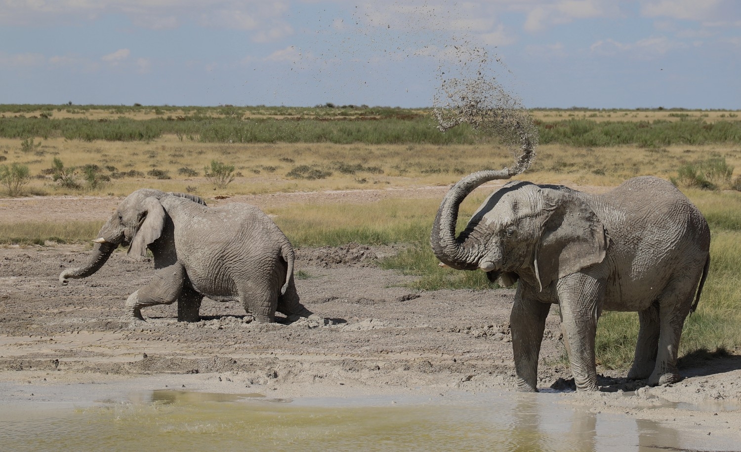Всем удачи!
