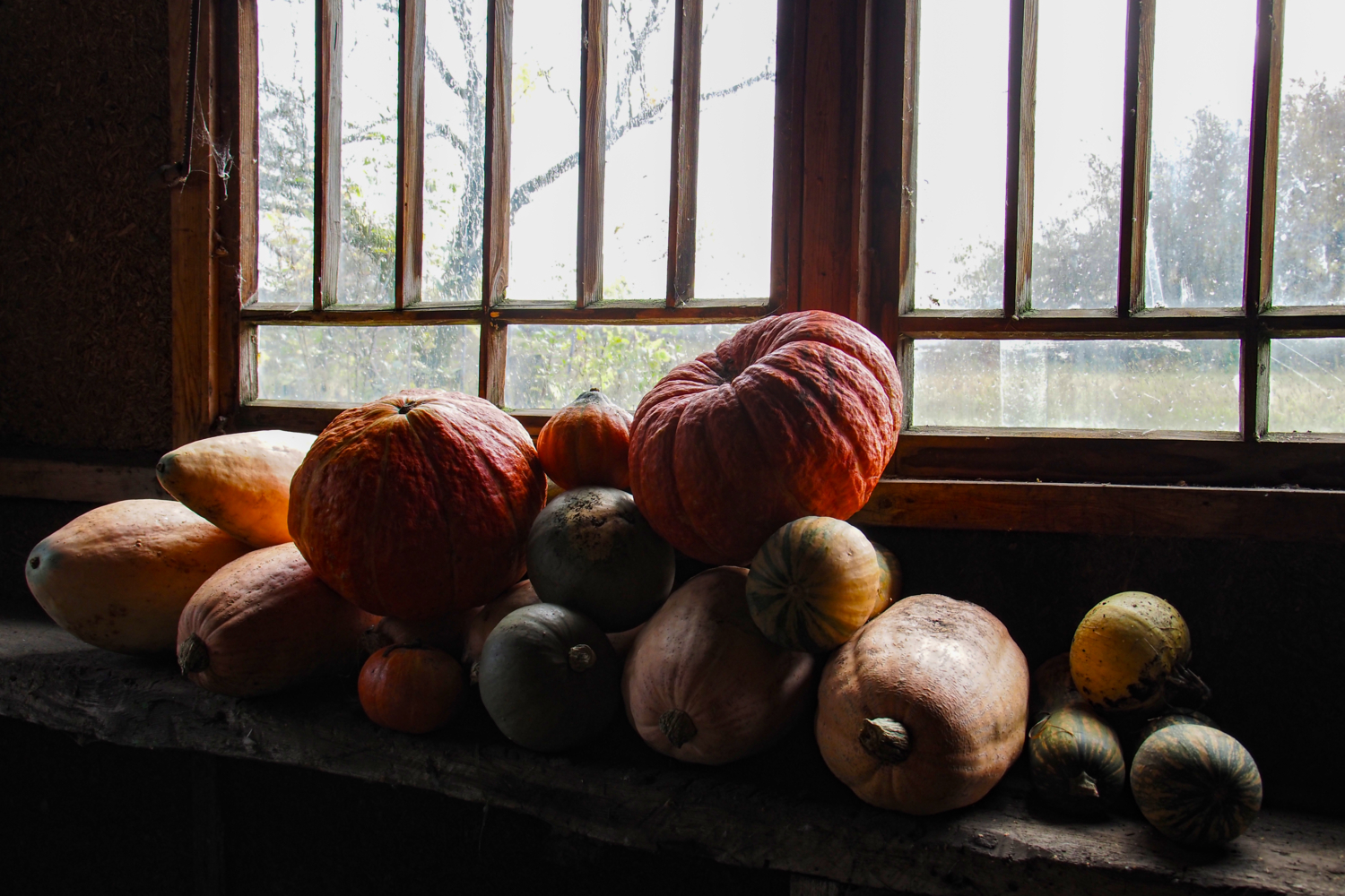 Витамины к зиме