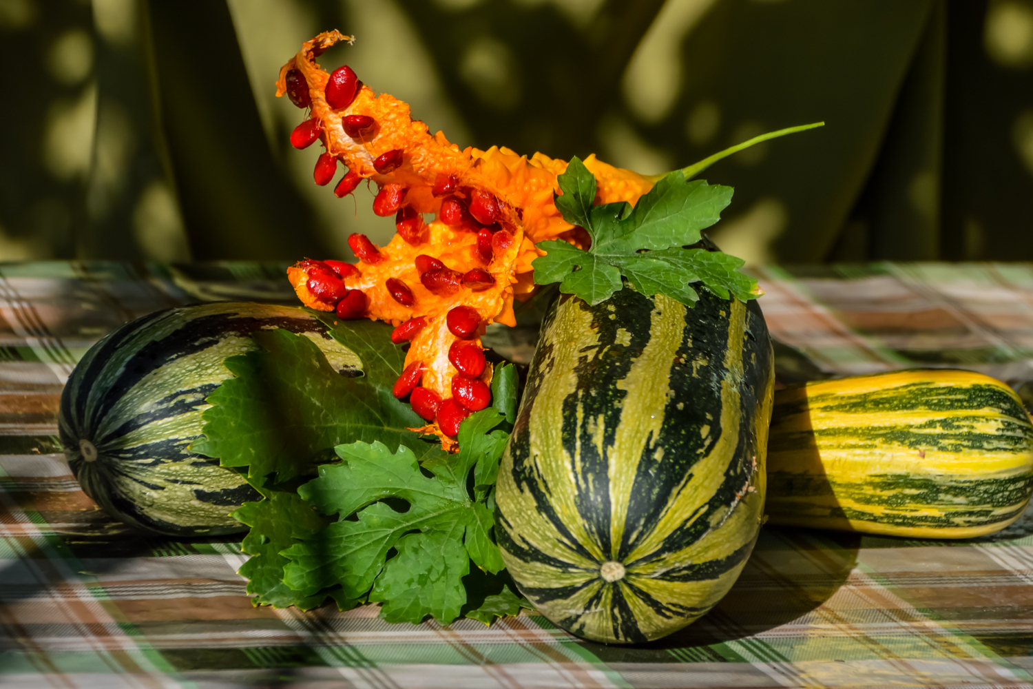 Полосатое лето