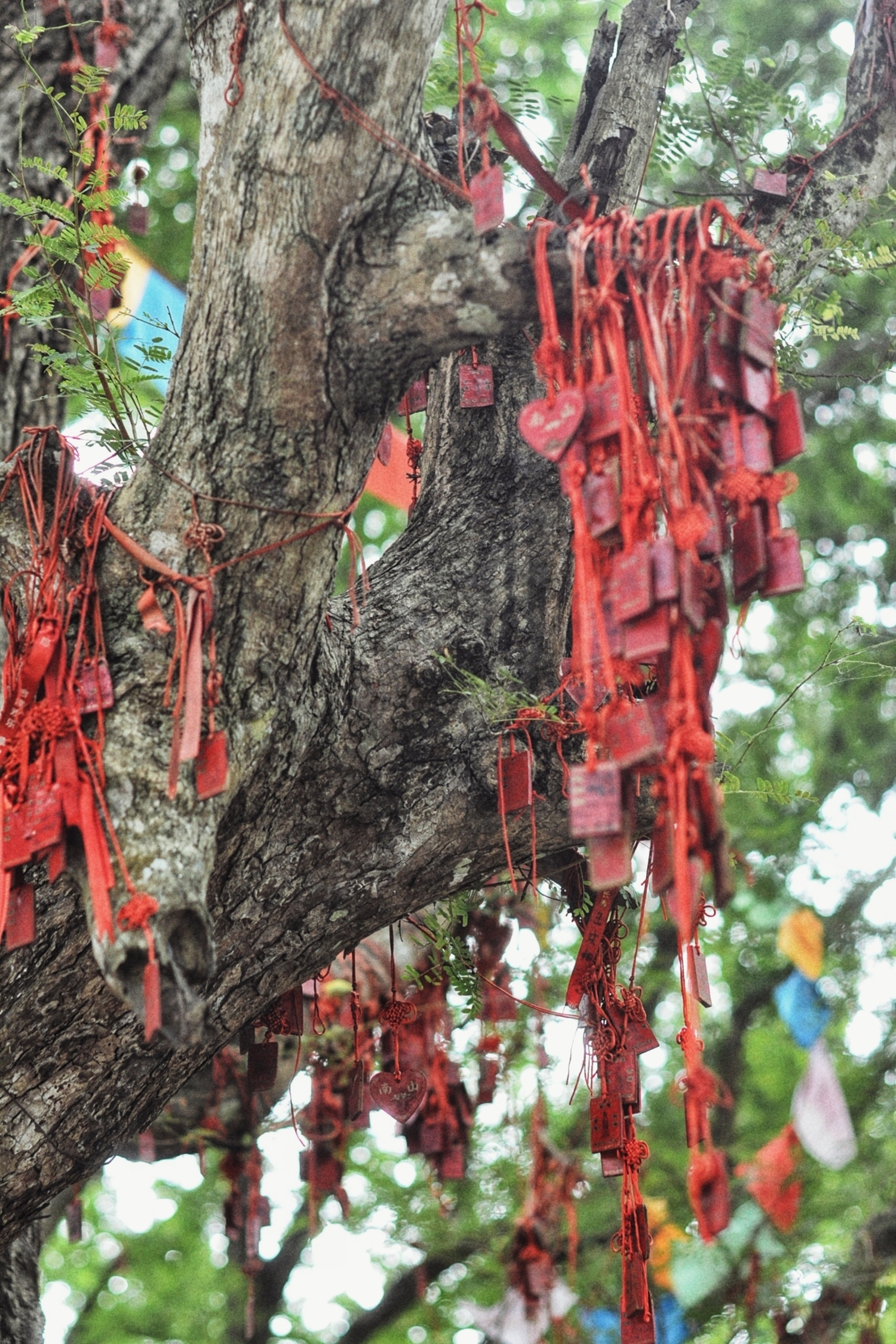 Красный цвет- счастье и защита от злых духов.