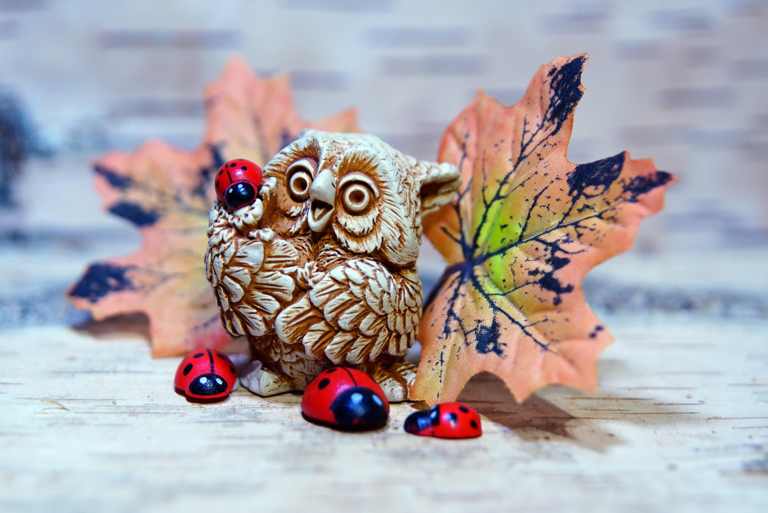 Совка-коровка