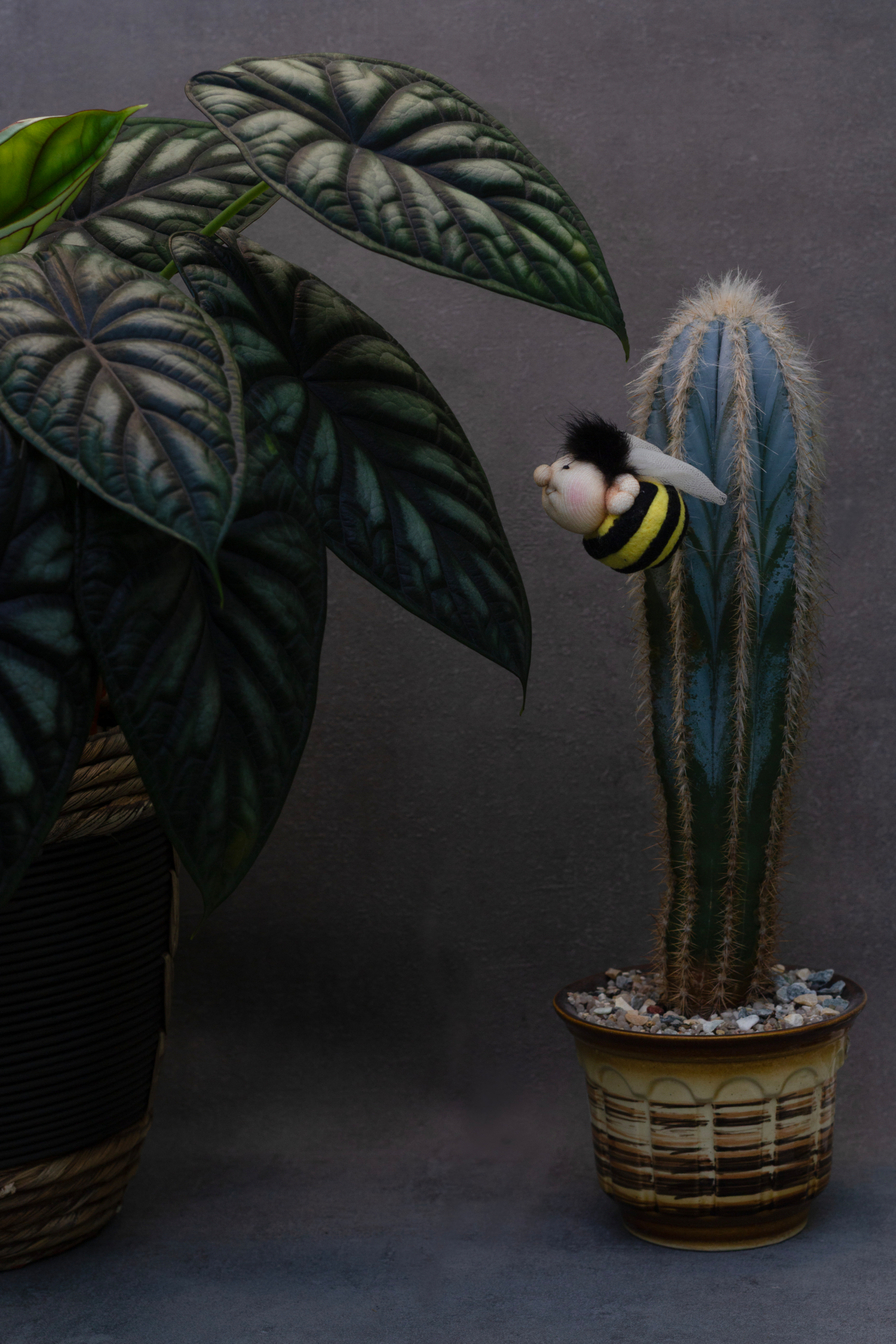 Не кусаюсь, но боюсь.