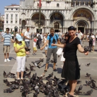 дружелюбные голуби венеции