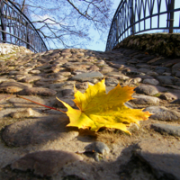Осенний лист на мосту