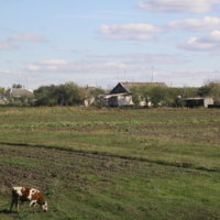 Деревенька.