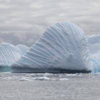 Стражник айсбергов Антарктиды
