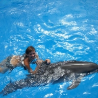 Как я обожаю дельфинов!!!