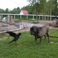 "Ну ооочень страшно!!!" :)))