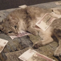 Знакомьтесь, самая богатая кошка- Мурка)