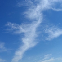 Облако похожее на птицу.