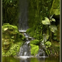 Тропический водопад