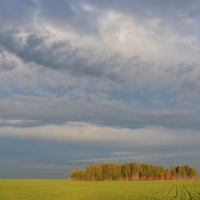 Перед грозой