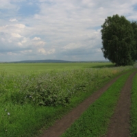 С русской березкой и дорогой.