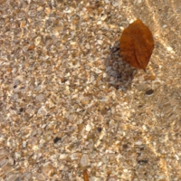 Морем на песке
