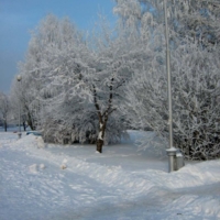 бульвар в снегу