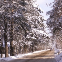 Сквозь зиму дорога