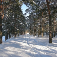 где бронепоезд не пройдет